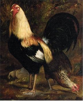 unknow artist Cocks 117 oil painting image